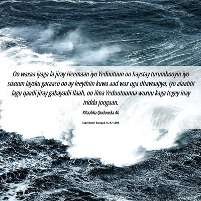 Picture 06 - Taariikhdii Kowaad 16:42 SOM - Oo waxaa iyaga la jiray Heemaan iyo Yeduutuun oo - Bible Verse Picture