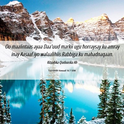 Picture 06 - Taariikhdii Kowaad 16:7 SOM - Oo maalintaas ayaa Daa'uud markii ugu horraysay - Bible Verse Picture