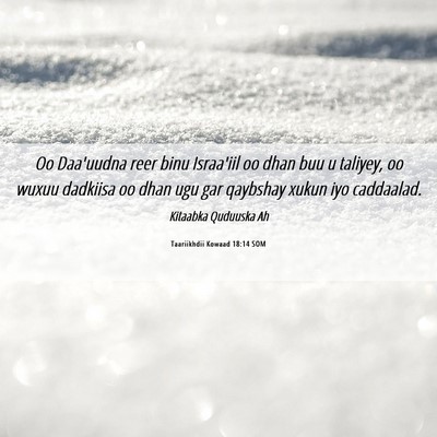 Picture 06 - Taariikhdii Kowaad 18:14 SOM - Oo Daa'uudna reer binu Israa'iil oo dhan buu u - Bible Verse Picture