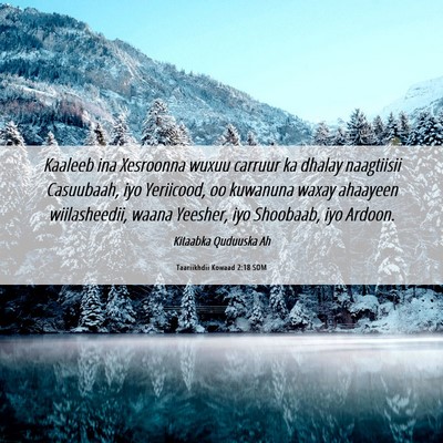 Picture 06 - Taariikhdii Kowaad 2:18 SOM - Kaaleeb ina Xesroonna wuxuu carruur ka dhalay - Bible Verse Picture
