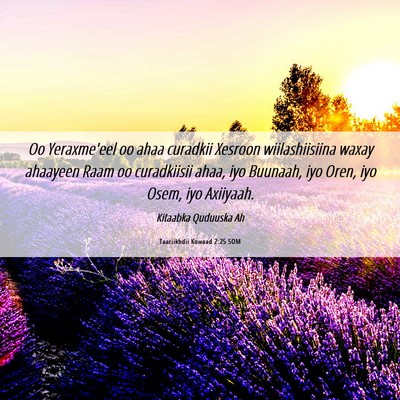 Picture 06 - Taariikhdii Kowaad 2:25 SOM - Oo Yeraxme'eel oo ahaa curadkii Xesroon - Bible Verse Picture
