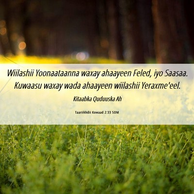 Picture 06 - Taariikhdii Kowaad 2:33 SOM - Wiilashii Yoonaataanna waxay ahaayeen Feled, iyo - Bible Verse Picture