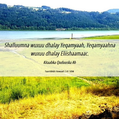 Picture 06 - Taariikhdii Kowaad 2:41 SOM - Shalluumna wuxuu dhalay Yeqamyaah, Yeqamyaahna - Bible Verse Picture
