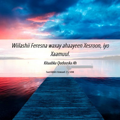 Picture 06 - Taariikhdii Kowaad 2:5 SOM - Wiilashii Feresna waxay ahaayeen Xesroon, iyo - Bible Verse Picture