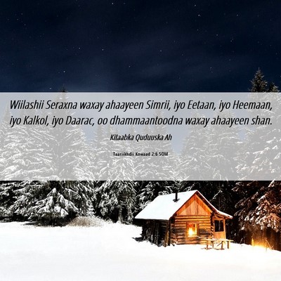 Picture 06 - Taariikhdii Kowaad 2:6 SOM - Wiilashii Seraxna waxay ahaayeen Simrii, iyo - Bible Verse Picture