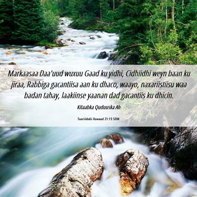 Picture 06 - Taariikhdii Kowaad 21:13 SOM - Markaasaa Daa'uud wuxuu Gaad ku yidhi, Cidhiidhi - Bible Verse Picture