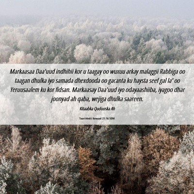 Picture 06 - Taariikhdii Kowaad 21:16 SOM - Markaasaa Daa'uud indhihii kor u taagay oo wuxuu - Bible Verse Picture