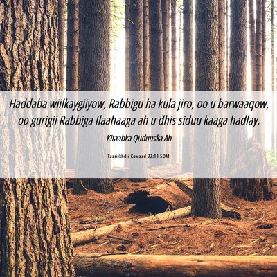 Picture 06 - Taariikhdii Kowaad 22:11 SOM - Haddaba wiilkaygiiyow, Rabbigu ha kula jiro, oo u - Bible Verse Picture