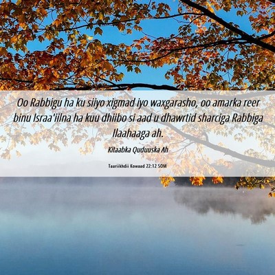 Picture 06 - Taariikhdii Kowaad 22:12 SOM - Oo Rabbigu ha ku siiyo xigmad iyo waxgarasho, oo - Bible Verse Picture
