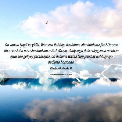 Picture 06 - Taariikhdii Kowaad 22:18 SOM - Oo wuxuu iyagii ku yidhi, War sow Rabbiga - Bible Verse Picture