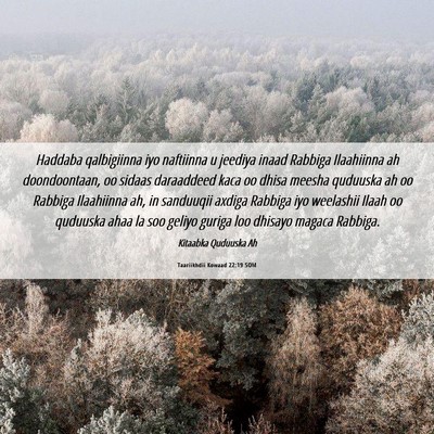 Picture 06 - Taariikhdii Kowaad 22:19 SOM - Haddaba qalbigiinna iyo naftiinna u jeediya inaad - Bible Verse Picture