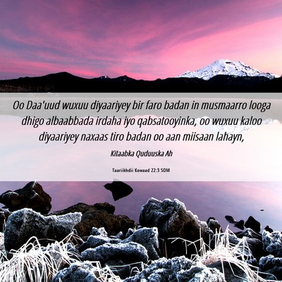 Picture 06 - Taariikhdii Kowaad 22:3 SOM - Oo Daa'uud wuxuu diyaariyey bir faro badan in - Bible Verse Picture