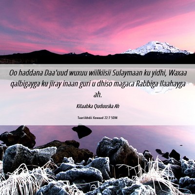 Picture 06 - Taariikhdii Kowaad 22:7 SOM - Oo haddana Daa'uud wuxuu wiilkiisii Sulaymaan ku - Bible Verse Picture