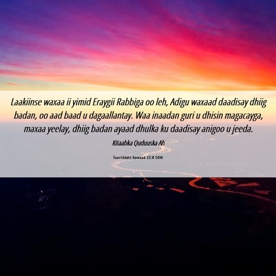 Picture 06 - Taariikhdii Kowaad 22:8 SOM - Laakiinse waxaa ii yimid Eraygii Rabbiga oo leh, - Bible Verse Picture