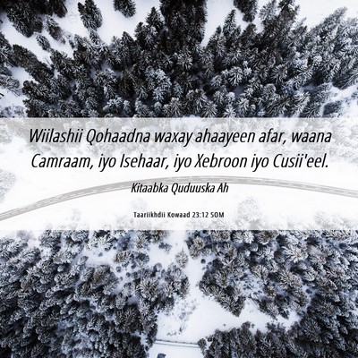 Picture 06 - Taariikhdii Kowaad 23:12 SOM - Wiilashii Qohaadna waxay ahaayeen afar, waana - Bible Verse Picture