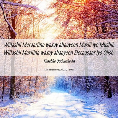 Picture 06 - Taariikhdii Kowaad 23:21 SOM - Wiilashii Meraariina waxay ahaayeen Maxlii iyo - Bible Verse Picture