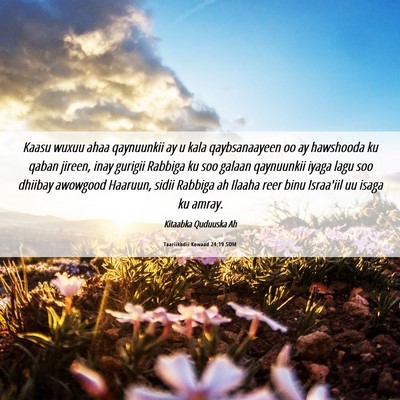 Picture 06 - Taariikhdii Kowaad 24:19 SOM - Kaasu wuxuu ahaa qaynuunkii ay u kala - Bible Verse Picture