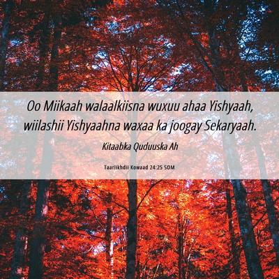 Picture 06 - Taariikhdii Kowaad 24:25 SOM - Oo Miikaah walaalkiisna wuxuu ahaa Yishyaah, - Bible Verse Picture