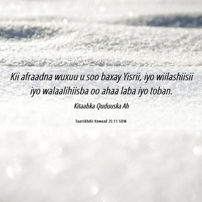 Picture 06 - Taariikhdii Kowaad 25:11 SOM - Kii afraadna wuxuu u soo baxay Yisrii, iyo - Bible Verse Picture