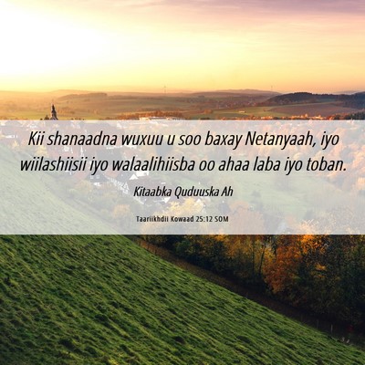 Picture 06 - Taariikhdii Kowaad 25:12 SOM - Kii shanaadna wuxuu u soo baxay Netanyaah, iyo - Bible Verse Picture