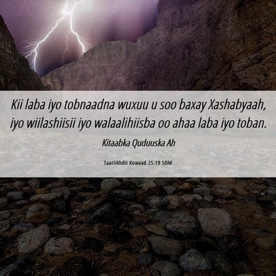 Picture 06 - Taariikhdii Kowaad 25:19 SOM - Kii laba iyo tobnaadna wuxuu u soo baxay - Bible Verse Picture