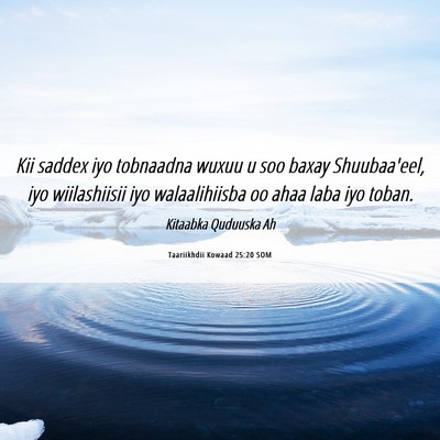 Picture 06 - Taariikhdii Kowaad 25:20 SOM - Kii saddex iyo tobnaadna wuxuu u soo baxay - Bible Verse Picture