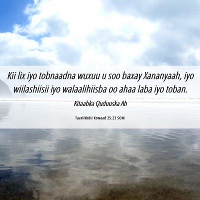 Picture 06 - Taariikhdii Kowaad 25:23 SOM - Kii lix iyo tobnaadna wuxuu u soo baxay - Bible Verse Picture