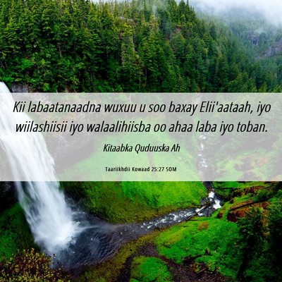 Picture 06 - Taariikhdii Kowaad 25:27 SOM - Kii labaatanaadna wuxuu u soo baxay Elii'aataah, - Bible Verse Picture