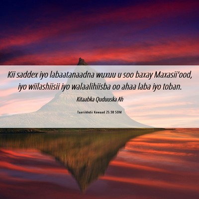 Picture 06 - Taariikhdii Kowaad 25:30 SOM - Kii saddex iyo labaatanaadna wuxuu u soo baxay - Bible Verse Picture
