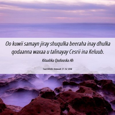 Picture 06 - Taariikhdii Kowaad 27:26 SOM - Oo kuwii samayn jiray shuqulka beeraha inay - Bible Verse Picture