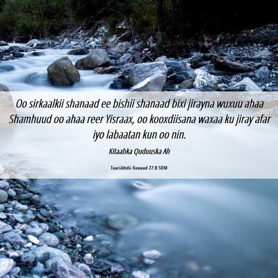 Picture 06 - Taariikhdii Kowaad 27:8 SOM - Oo sirkaalkii shanaad ee bishii shanaad bixi - Bible Verse Picture