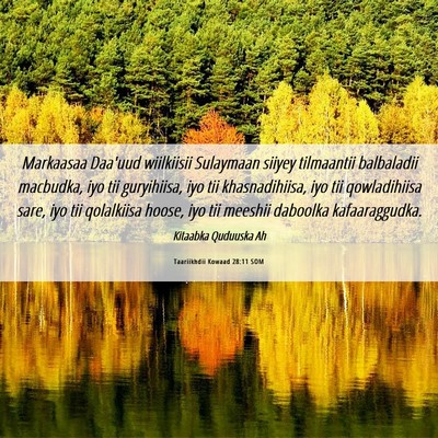 Picture 06 - Taariikhdii Kowaad 28:11 SOM - Markaasaa Daa'uud wiilkiisii Sulaymaan siiyey - Bible Verse Picture
