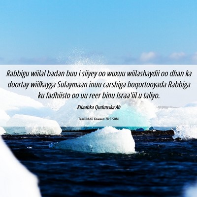 Picture 06 - Taariikhdii Kowaad 28:5 SOM - Rabbigu wiilal badan buu i siiyey oo wuxuu - Bible Verse Picture