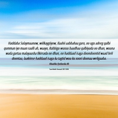 Picture 06 - Taariikhdii Kowaad 28:9 SOM - Haddaba Sulaymaanow, wiilkaygiiyow, Ilaahii - Bible Verse Picture