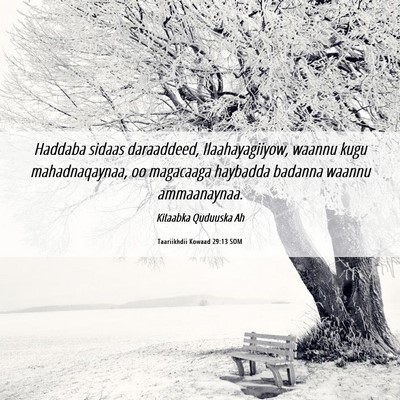 Picture 06 - Taariikhdii Kowaad 29:13 SOM - Haddaba sidaas daraaddeed, Ilaahayagiiyow, waannu - Bible Verse Picture