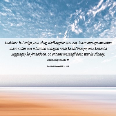 Picture 06 - Taariikhdii Kowaad 29:14 SOM - Laakiinse bal anigu yaan ahay, dadkayguse waa - Bible Verse Picture