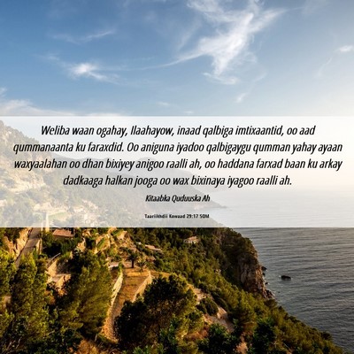 Picture 06 - Taariikhdii Kowaad 29:17 SOM - Weliba waan ogahay, Ilaahayow, inaad qalbiga - Bible Verse Picture