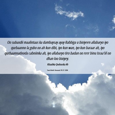 Picture 06 - Taariikhdii Kowaad 29:21 SOM - Oo subaxdii maalintaas ka dambaysay ayay Rabbiga - Bible Verse Picture