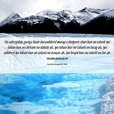 Picture 06 - Taariikhdii Kowaad 29:7 SOM - Oo adeegidda guriga Ilaah daraaddeed waxay u - Bible Verse Picture