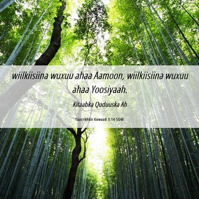 Picture 06 - Taariikhdii Kowaad 3:14 SOM - wiilkiisiina wuxuu ahaa Aamoon, wiilkiisiina - Bible Verse Picture