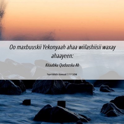 Picture 06 - Taariikhdii Kowaad 3:17 SOM - Oo maxbuuskii Yekonyaah ahaa wiilashiisii waxay - Bible Verse Picture