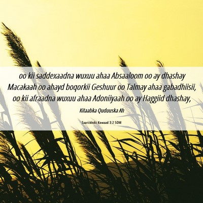 Picture 06 - Taariikhdii Kowaad 3:2 SOM - oo kii saddexaadna wuxuu ahaa Absaaloom oo ay - Bible Verse Picture