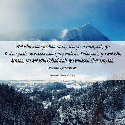Picture 06 - Taariikhdii Kowaad 3:21 SOM - Wiilashii Xananyaahna waxay ahaayeen Felatyaah, - Bible Verse Picture