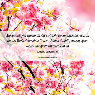 Picture 06 - Taariikhdii Kowaad 4:14 SOM - Mecoonotayna wuxuu dhalay Cofraah, oo Seraayaahna - Bible Verse Picture