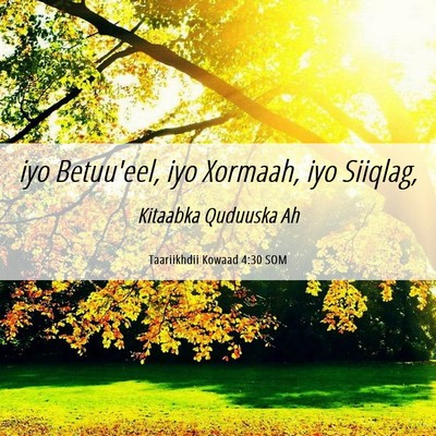 Picture 06 - Taariikhdii Kowaad 4:30 SOM - iyo Betuu'eel, iyo Xormaah, iyo - Bible Verse Picture