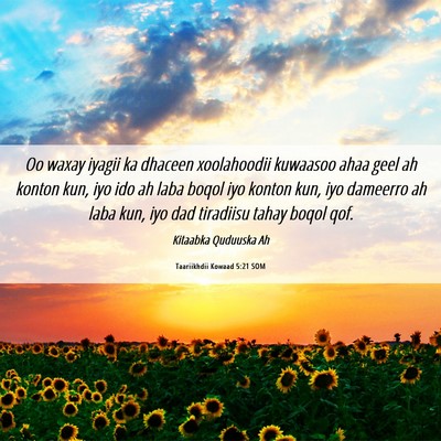 Picture 06 - Taariikhdii Kowaad 5:21 SOM - Oo waxay iyagii ka dhaceen xoolahoodii kuwaasoo - Bible Verse Picture