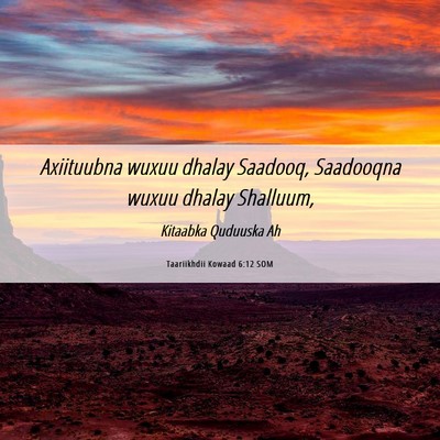 Picture 06 - Taariikhdii Kowaad 6:12 SOM - Axiituubna wuxuu dhalay Saadooq, Saadooqna wuxuu - Bible Verse Picture