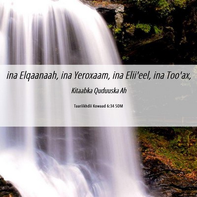 Picture 06 - Taariikhdii Kowaad 6:34 SOM - ina Elqaanaah, ina Yeroxaam, ina Elii'eel, ina - Bible Verse Picture