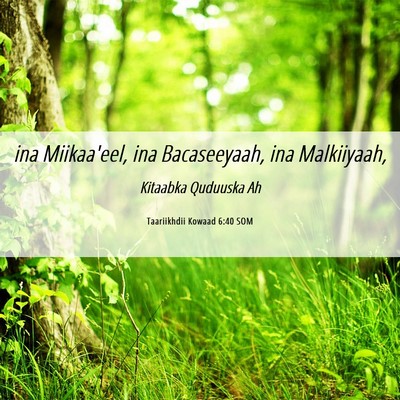 Picture 06 - Taariikhdii Kowaad 6:40 SOM - ina Miikaa'eel, ina Bacaseeyaah, ina - Bible Verse Picture