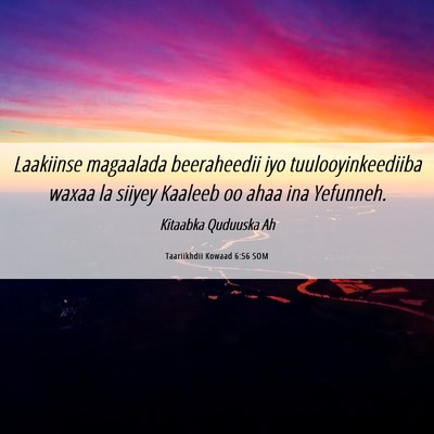 Picture 06 - Taariikhdii Kowaad 6:56 SOM - Laakiinse magaalada beeraheedii iyo - Bible Verse Picture